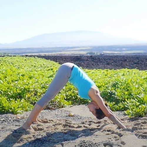 Downward-Facing-Dog-Plank-Flow