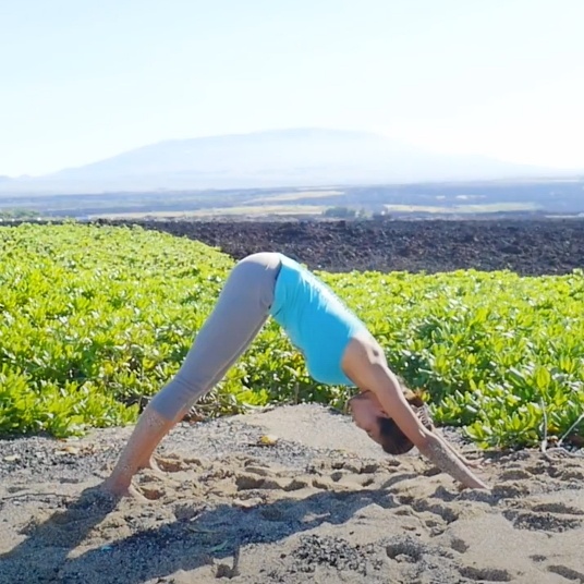 Downward-facing dog plank flow