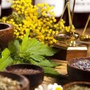Top 10 ayurvedic Herbs & their benefits